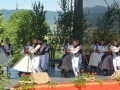 sfs (13)-001